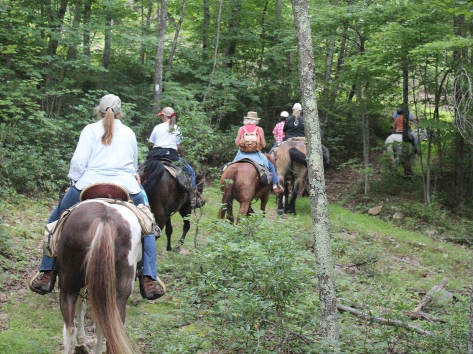 Horseback Riding in Shenandoah Valley